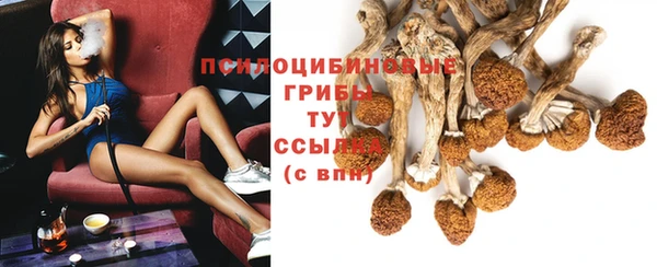 MDMA Белокуриха