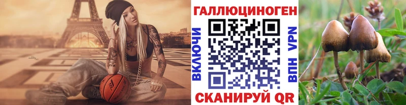 Псилоцибиновые грибы мухоморы  даркнет сайт  Полесск 